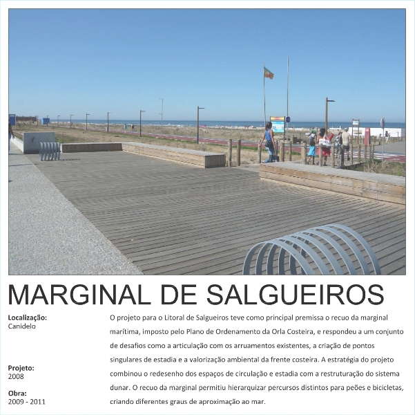 salgueiros_1