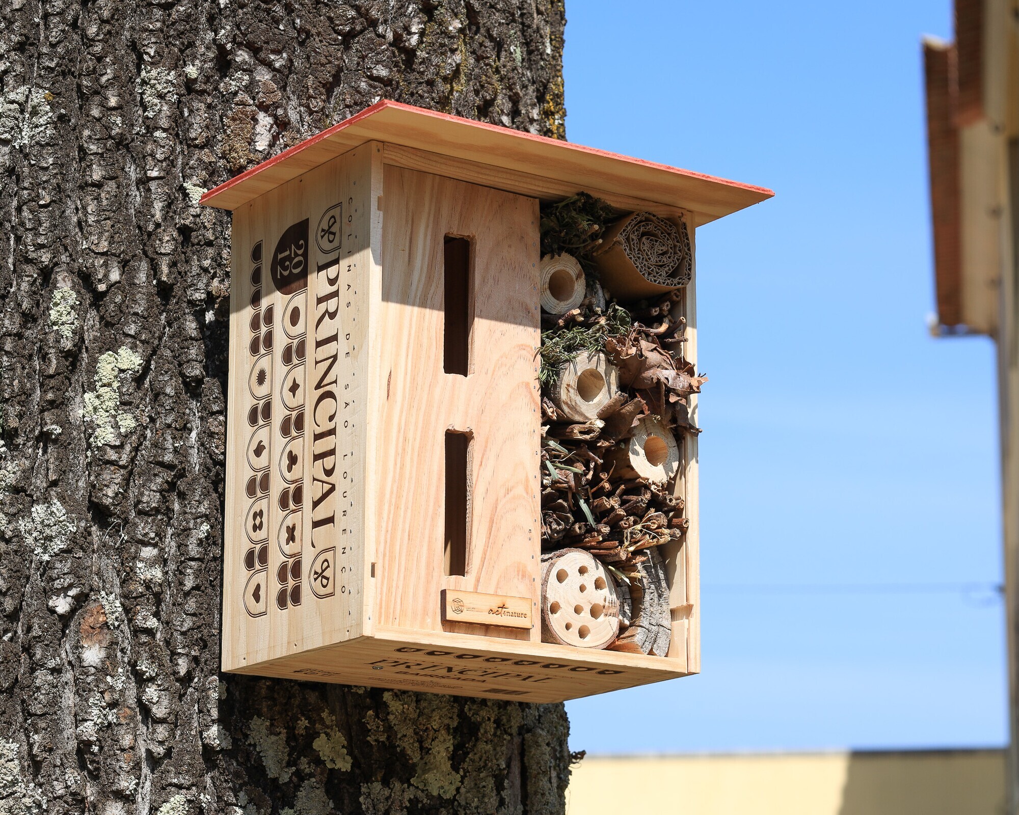 Gaiurb instala Hotel de Insetos e promove Biodiversidade Urbana 